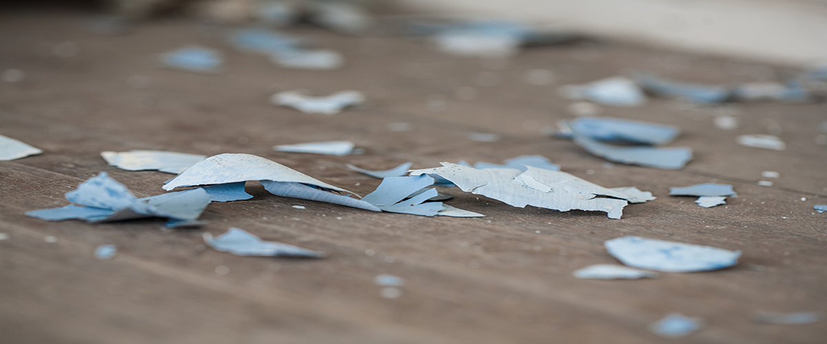 paint clips on the ground